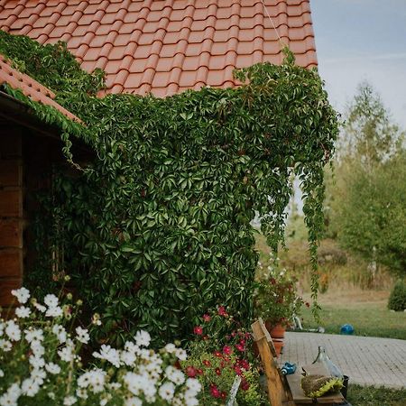 Dom Goscinny Sowia Stopka Miłomłyn Exterior foto