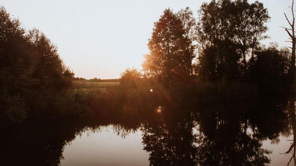 Dom Goscinny Sowia Stopka Miłomłyn Exterior foto