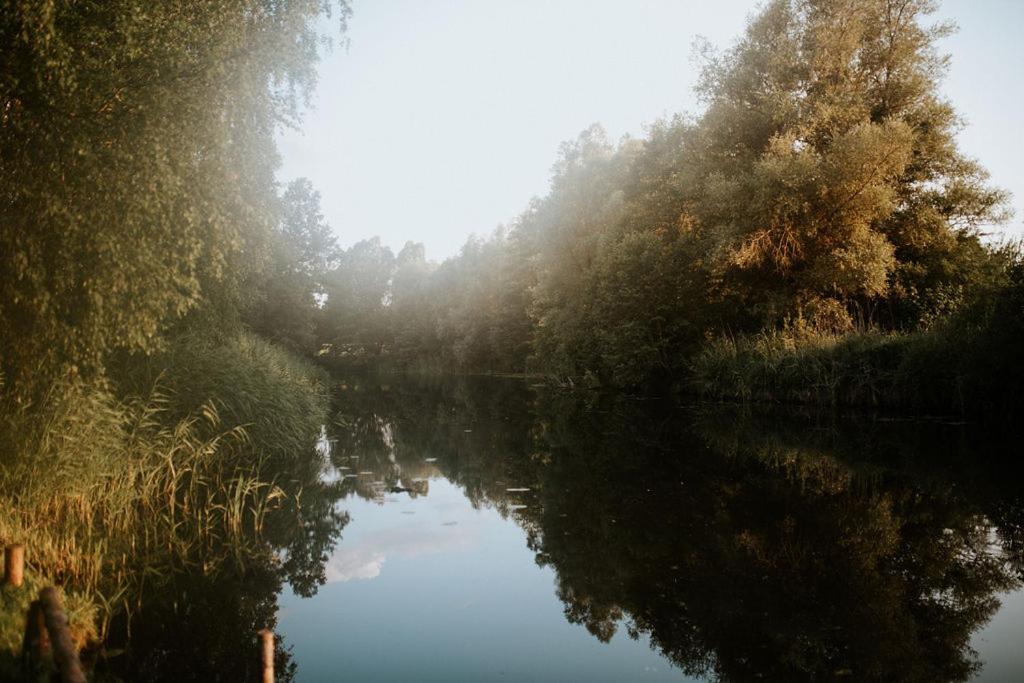 Dom Goscinny Sowia Stopka Miłomłyn Exterior foto
