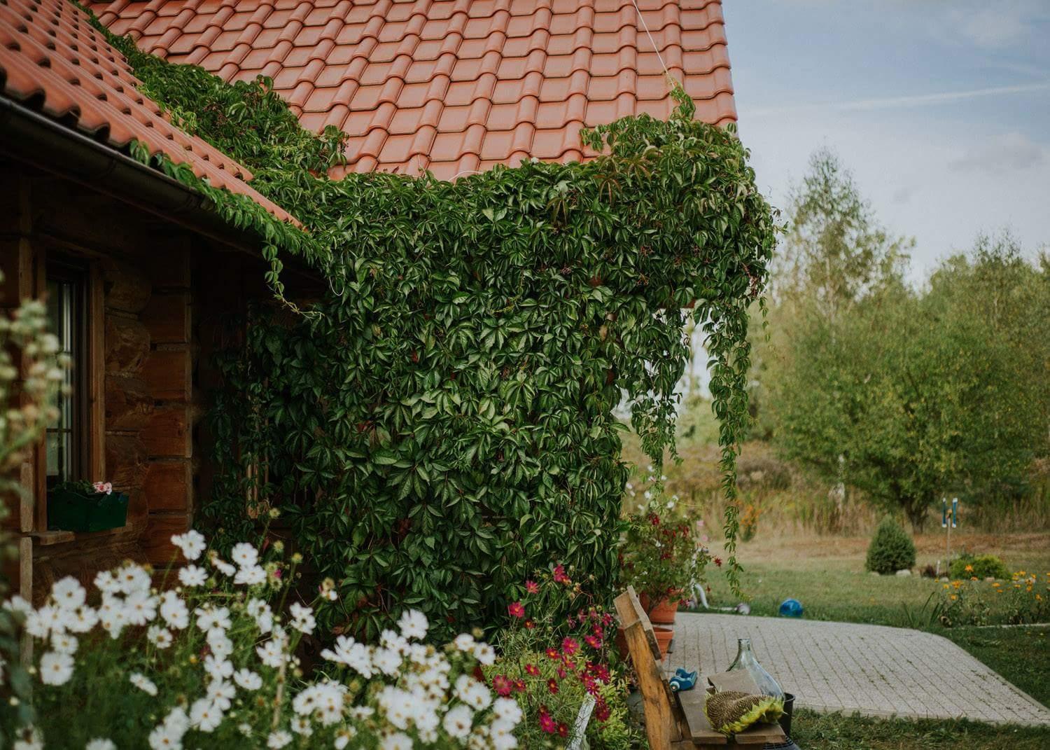 Dom Goscinny Sowia Stopka Miłomłyn Exterior foto